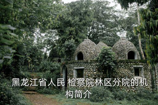黑龍江檢察院,李芳芳黑龍江檢察院