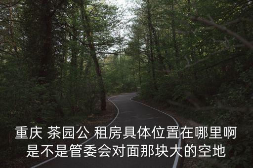 重慶 茶園公 租房具體位置在哪里啊是不是管委會對面那塊大的空地