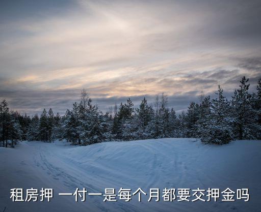 租房押 一付一是每個(gè)月都要交押金嗎