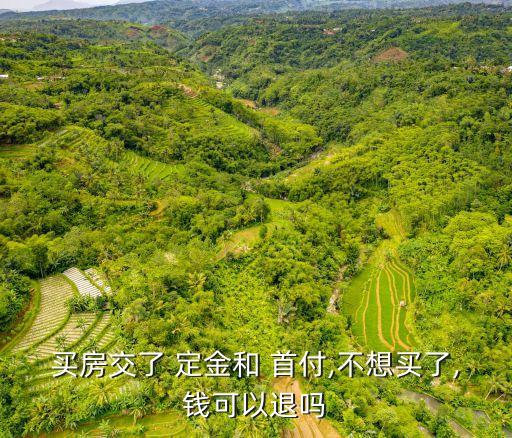 買房交了 定金和 首付,不想買了,錢可以退嗎