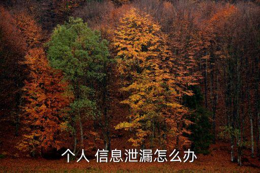 個(gè)人 信息泄漏怎么辦