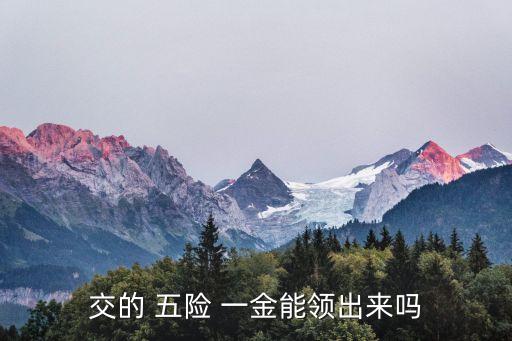 交的 五險 一金能領出來嗎