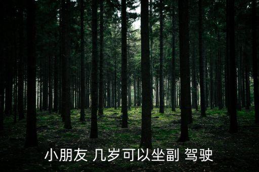幾歲才能坐副駕駛,孩子可以坐副駕駛嗎