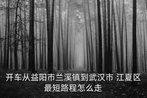 開車從益陽市蘭溪鎮(zhèn)到武漢市 江夏區(qū)最短路程怎么走
