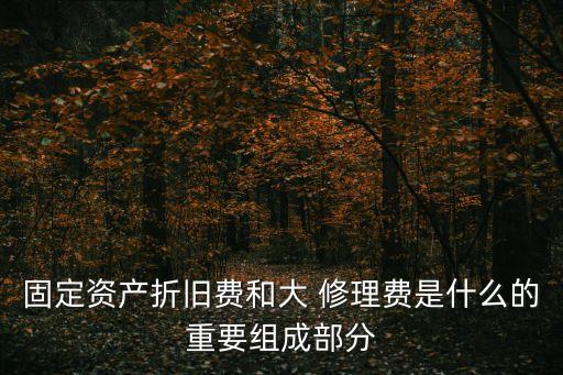 固定資產(chǎn)折舊費和大 修理費是什么的重要組成部分