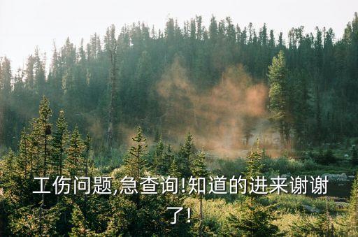 廣州工傷律師
