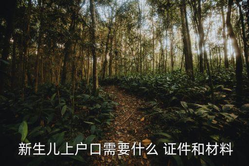 新生兒辦戶口本需要什么證件