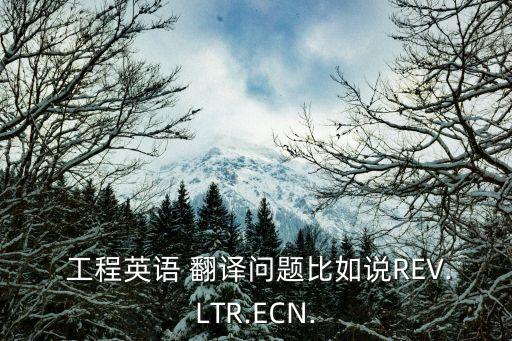  工程英語 翻譯問題比如說REV.LTR.ECN.
