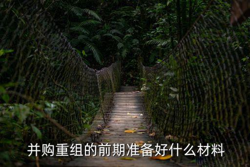  并購重組的前期準(zhǔn)備好什么材料