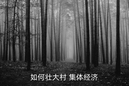 發(fā)展集體經(jīng)濟(jì)