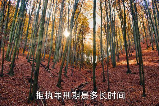 拒執(zhí)罪