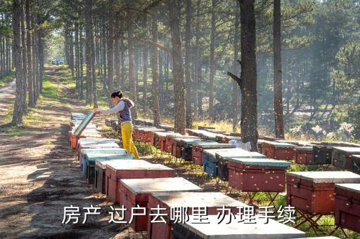 過戶去哪里辦理,昆明二手車過戶去哪里辦理