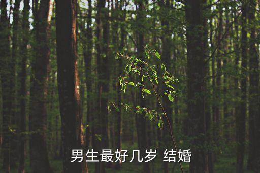  男生最好幾歲 結(jié)婚