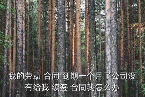 合同到期半年 一直沒有續(xù)簽合同