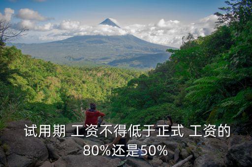  試用期 工資不得低于正式 工資的80%還是50%
