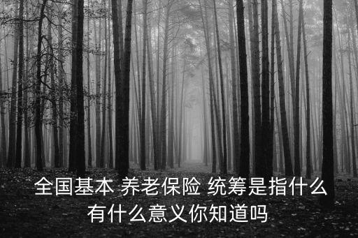  全國基本 養(yǎng)老保險 統(tǒng)籌是指什么有什么意義你知道嗎