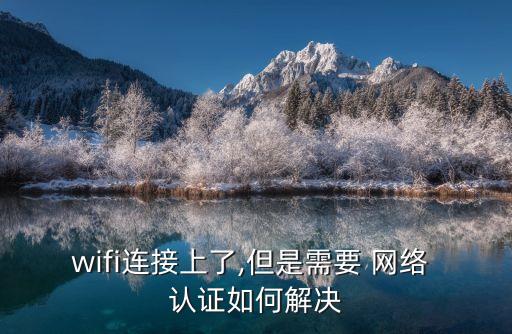 wifi連接上了,但是需要 網(wǎng)絡 認證如何解決
