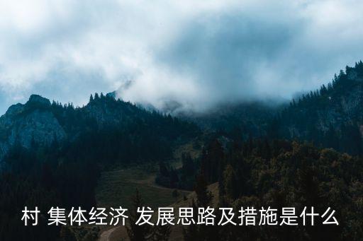 村 集體經(jīng)濟(jì) 發(fā)展思路及措施是什么