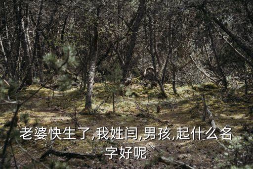 閆實(shí),吳心曠 閆實(shí)