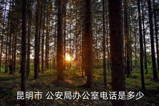  昆明市 公安局辦公室電話(huà)是多少