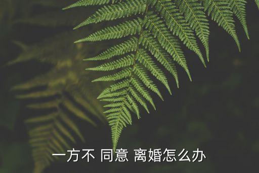 離婚不同意怎么辦,離婚一方不同意最快用什么辦法