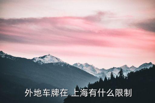 上海外地牌照限行