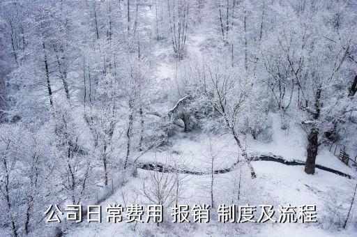  公司日常費(fèi)用 報(bào)銷 制度及流程
