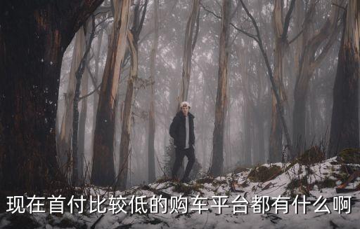 現(xiàn)在首付比較低的購車平臺都有什么啊
