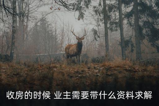 收房的時(shí)候 業(yè)主需要帶什么資料求解