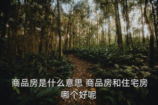  商品房是什么意思 商品房和住宅房哪個好呢