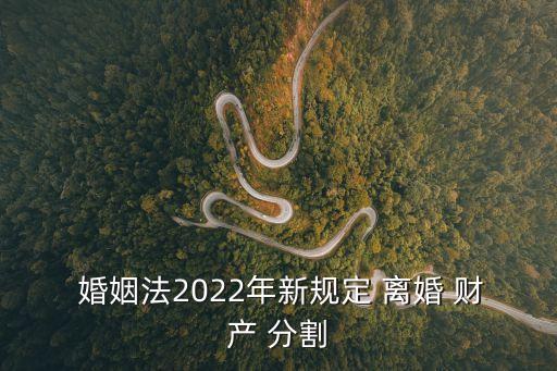  婚姻法2022年新規(guī)定 離婚 財(cái)產(chǎn) 分割