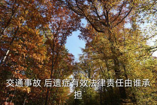 交通事故 后遺癥有效法律責(zé)任由誰(shuí)承擔(dān)