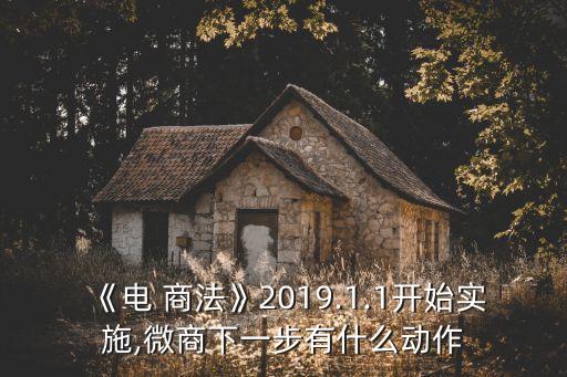 微商電商法