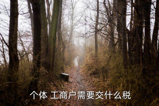 個(gè)體工商戶需要交哪些稅,個(gè)體戶經(jīng)營(yíng)所得核定稅率