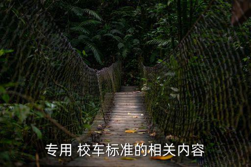 中國校車