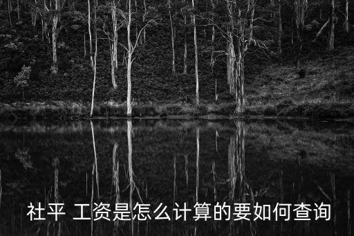  社平 工資是怎么計(jì)算的要如何查詢