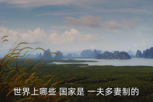 世界上哪些 國(guó)家是 一夫多妻制的