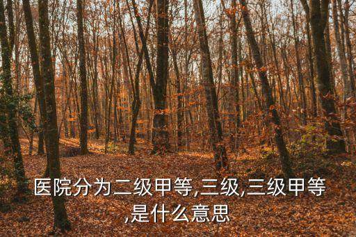  醫(yī)院分為二級甲等,三級,三級甲等,是什么意思
