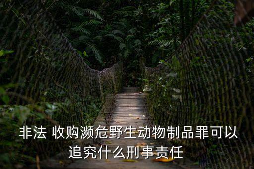  非法 收購瀕危野生動物制品罪可以追究什么刑事責(zé)任