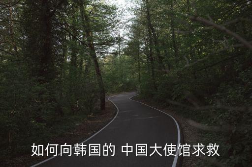 如何向韓國的 中國大使館求救