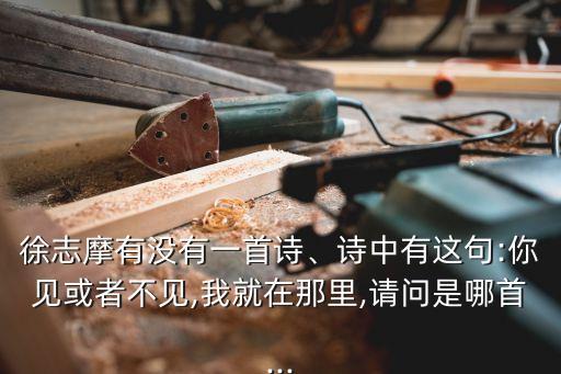 徐志摩有沒有一首詩、詩中有這句:你見或者不見,我就在那里,請問是哪首...