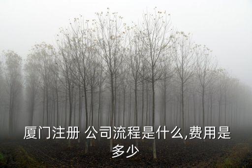 廈門公司注冊