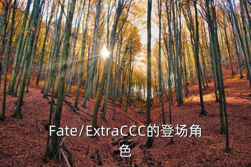 男女ccc