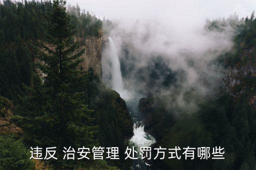 違反 治安管理 處罰方式有哪些