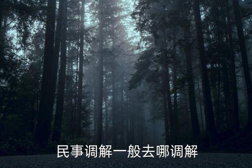  民事調(diào)解一般去哪調(diào)解