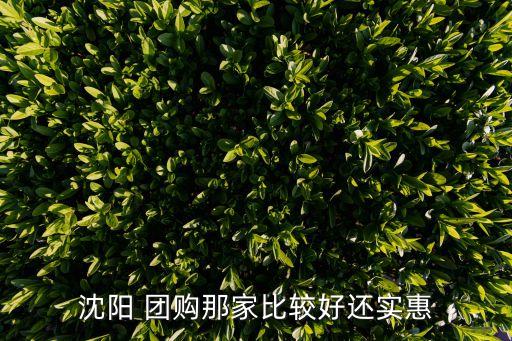 19團(tuán)購網(wǎng),800團(tuán)購網(wǎng)