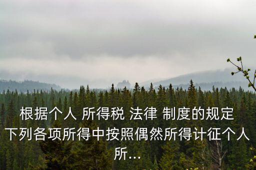 根據(jù)個(gè)人 所得稅 法律 制度的規(guī)定下列各項(xiàng)所得中按照偶然所得計(jì)征個(gè)人所...