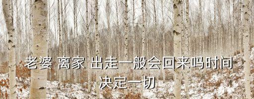  老婆 離家 出走一般會回來嗎時間決定一切