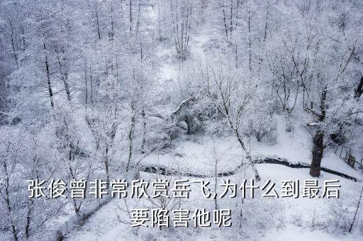 張俊,張峻寧個人資料簡介