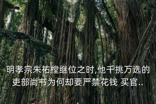 買官,買定離手我愛你 電視劇免費觀看